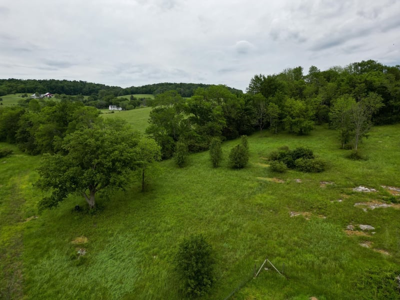 Statesville Rd, Watertown, TN 37184