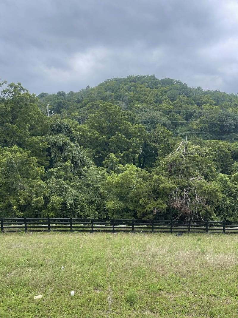 213 Berry Hunter Ln, Franklin, TN 37067