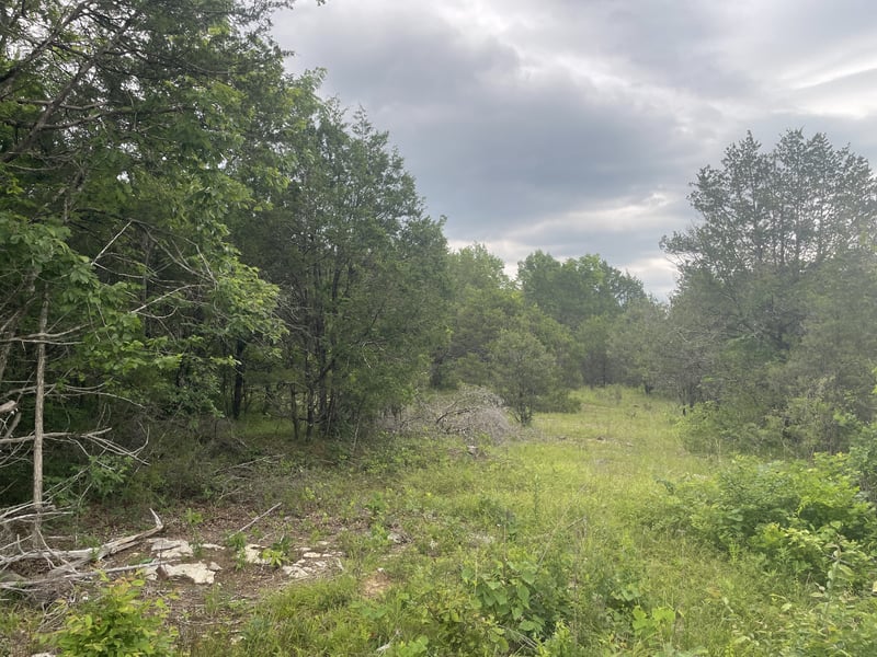 3822 Bivens Hill Rd, Readyville, TN 37149
