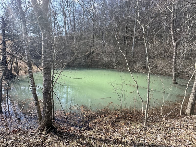 Little Creek Rd, Pleasant Shade, TN 37145