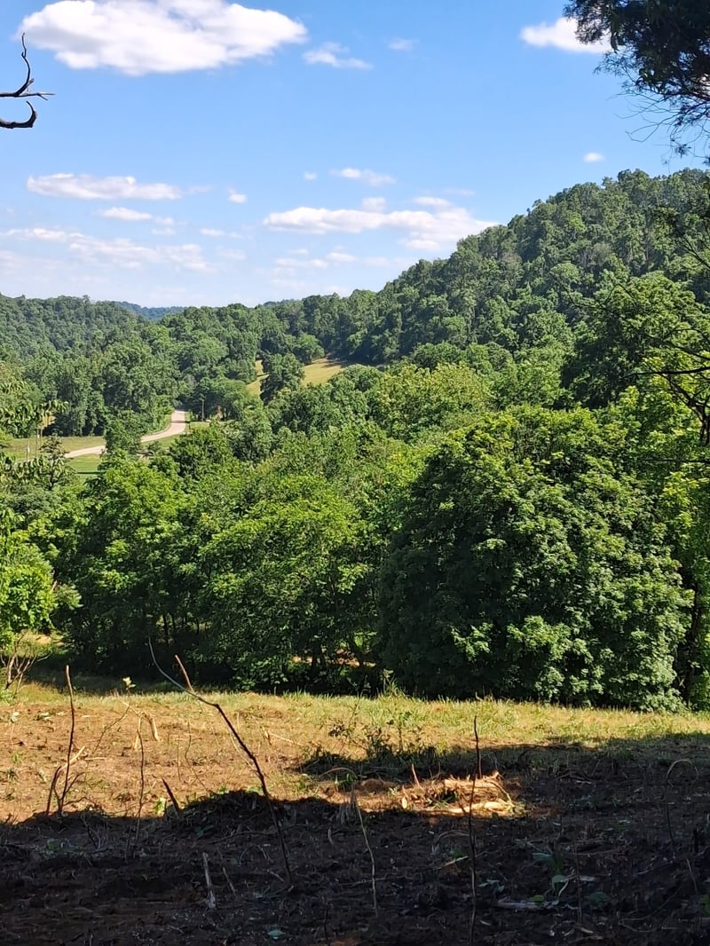 Little Creek Rd, Pleasant Shade, TN 37145