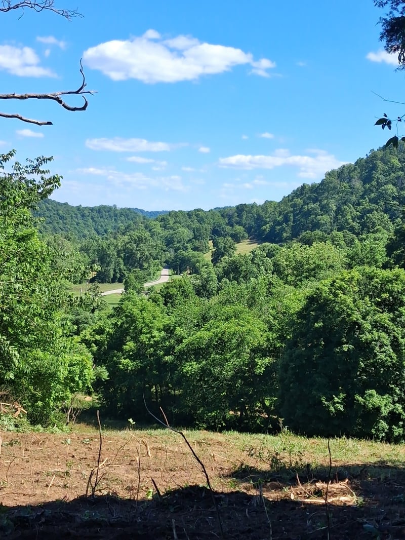 Little Creek Rd, Pleasant Shade, TN 37145