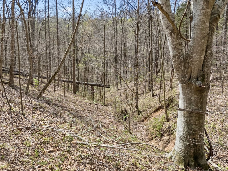 Old Highway 31e, Westmoreland, TN 37186
