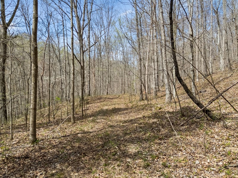 Old Highway 31e, Westmoreland, TN 37186