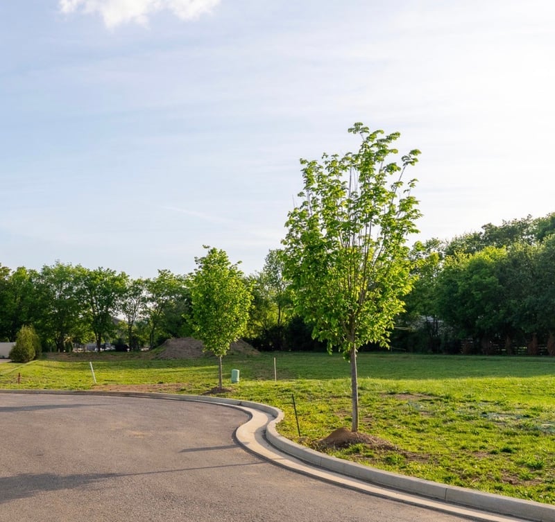 1107 Mccall Ct, Brentwood, TN 37027