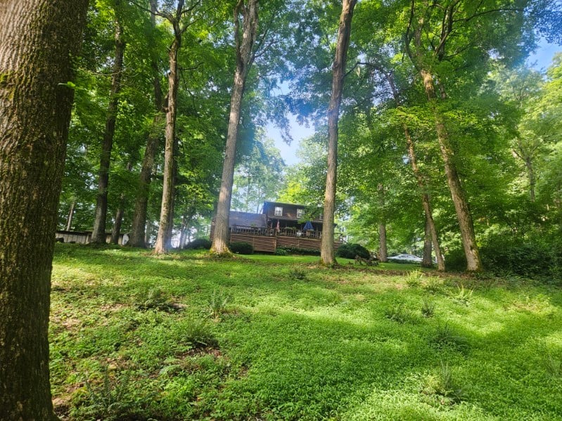 4849 Kinneys School Rd, Springfield, TN 37172