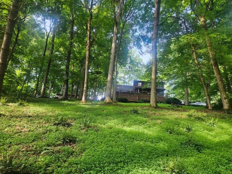 4849 Kinneys School Rd, Springfield, TN 37172
