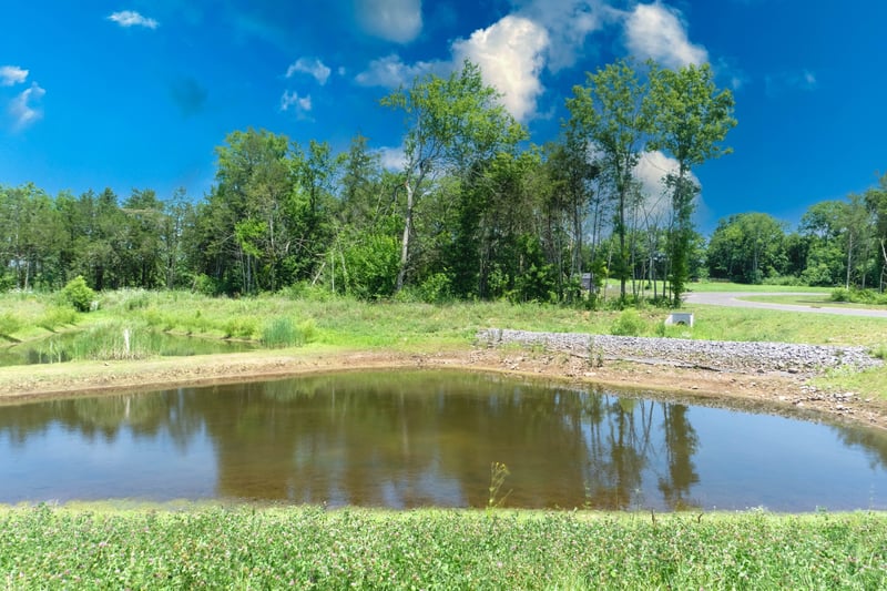 3002 Stonehorn Dr, Bell Buckle, TN 37020