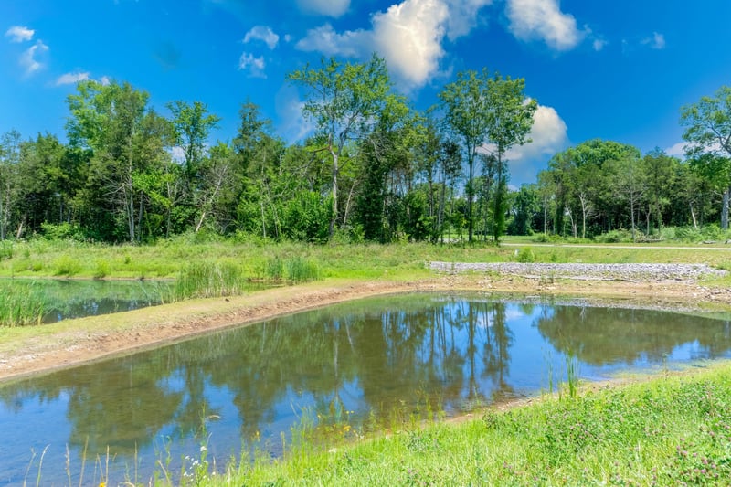 3002 Stonehorn Dr, Bell Buckle, TN 37020