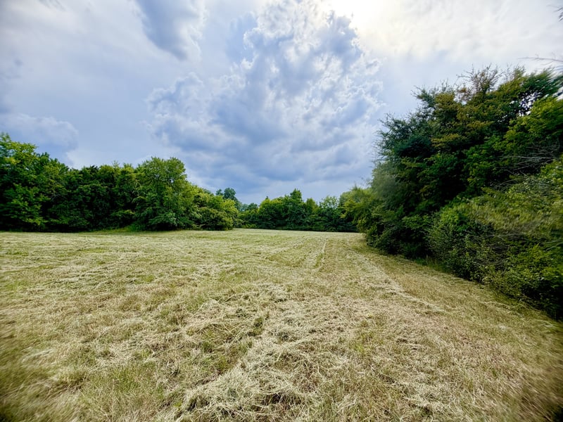 1948 Cainsville Rd, Lebanon, TN 37090