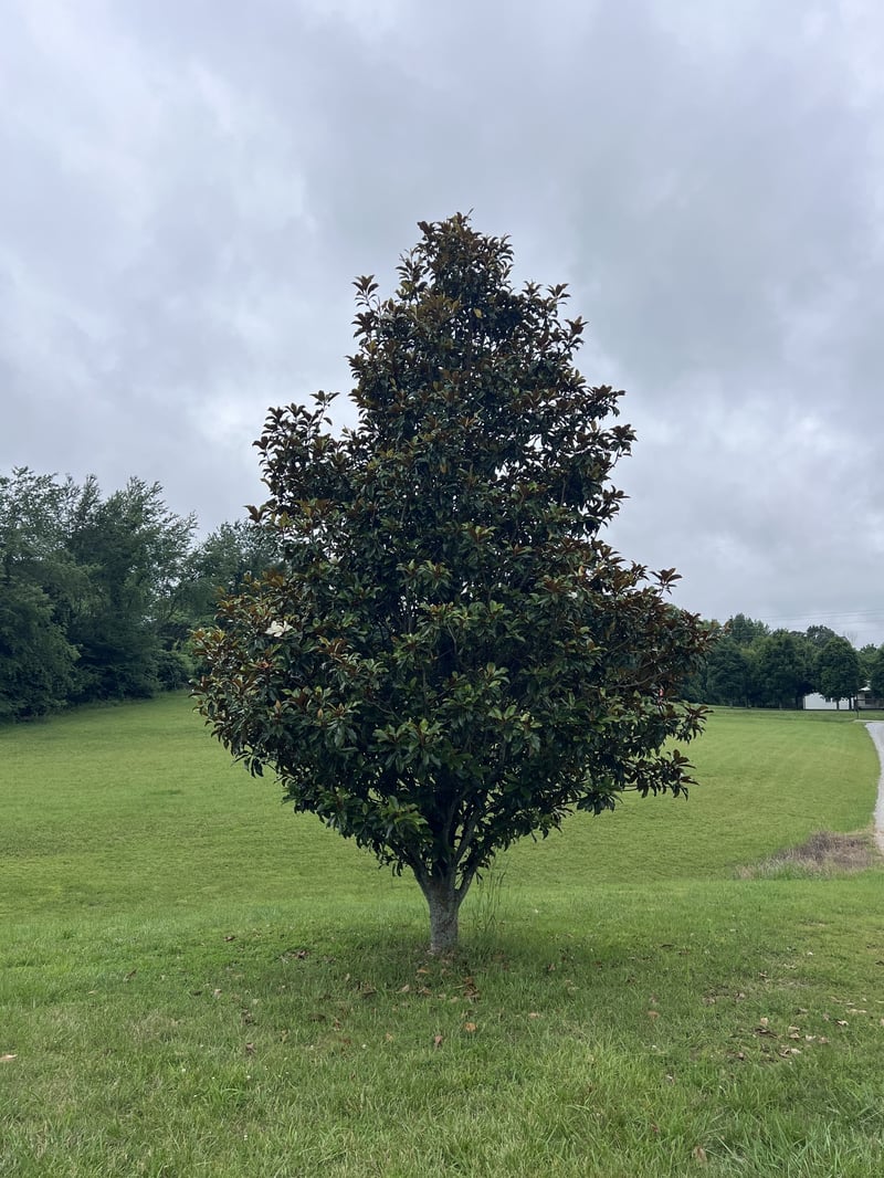 1142 John Shores Rd, Chapmansboro, TN 37035