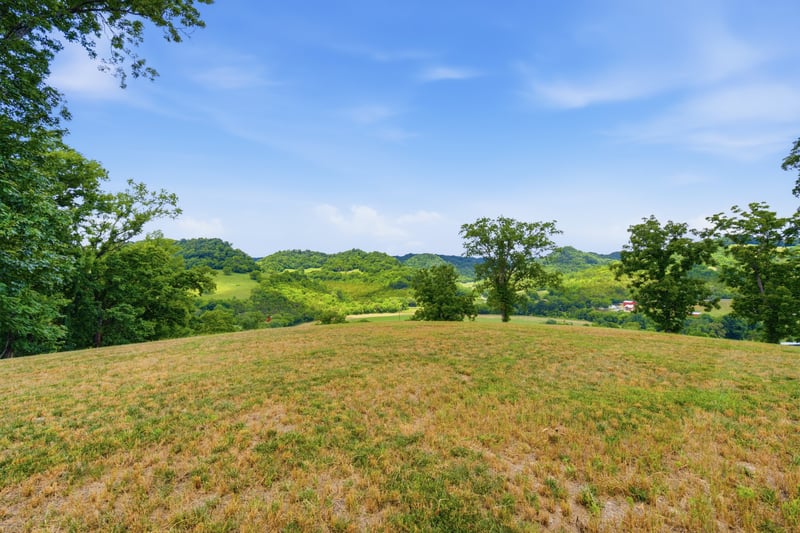 Pleasant Shade Hw, Pleasant Shade, TN 37145