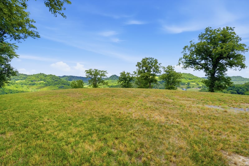 Pleasant Shade Hw, Pleasant Shade, TN 37145