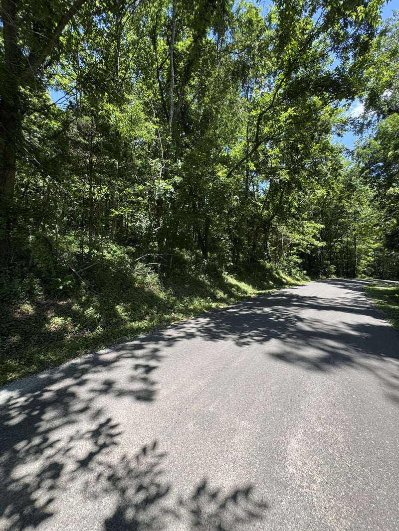 Horseshoe Rd, Cross Plains, TN 37049