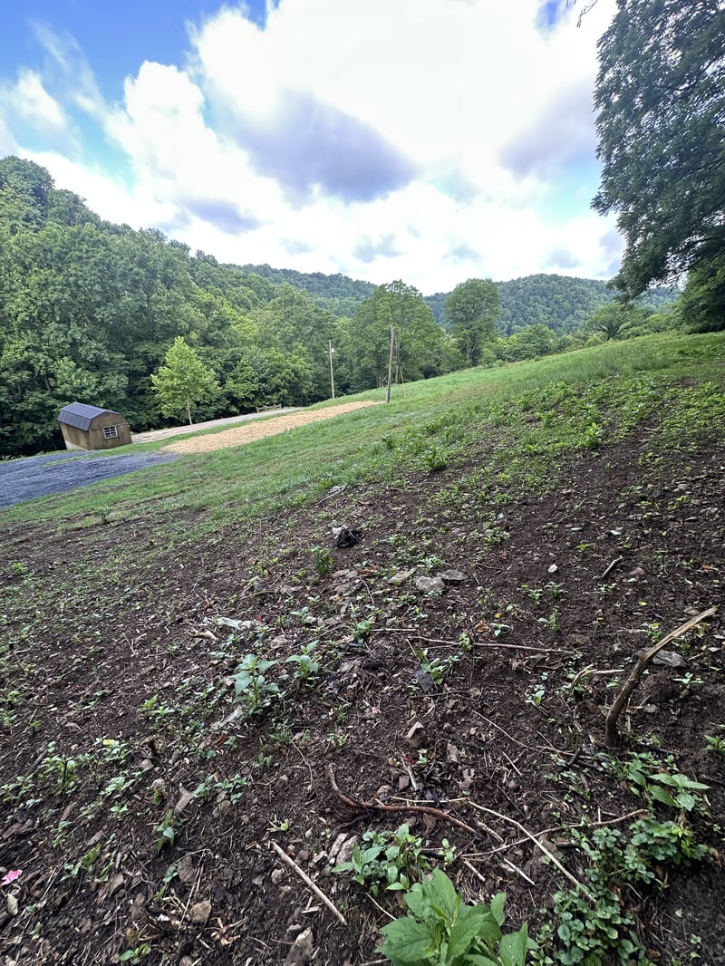 45 Friendship Hollow Rd, Pleasant Shade, TN 37145
