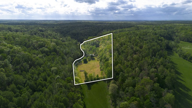 4805 Love Branch Rd, Hampshire, TN 38461