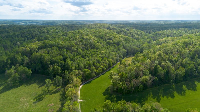 4805 Love Branch Rd, Hampshire, TN 38461
