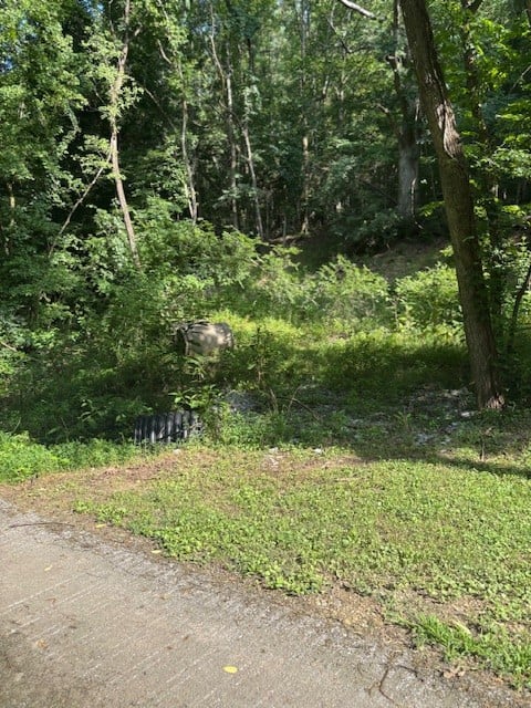 Seymour Hollow Rd, Whites Creek, TN 37189