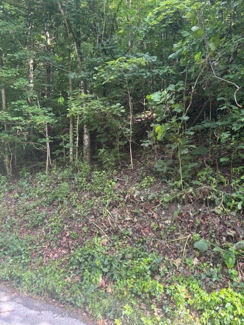 Seymour Hollow Rd, Whites Creek, TN 37189