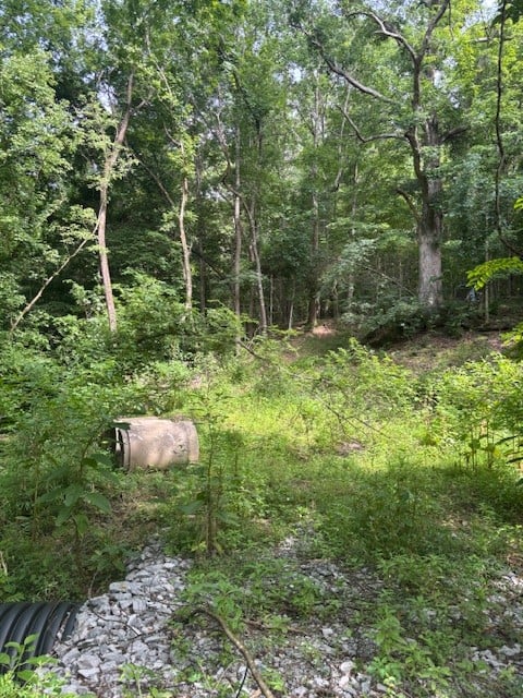 Seymour Hollow Rd, Whites Creek, TN 37189