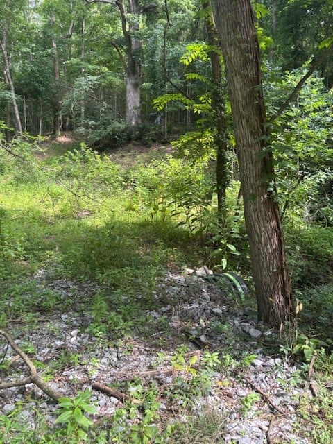 Seymour Hollow Rd, Whites Creek, TN 37189