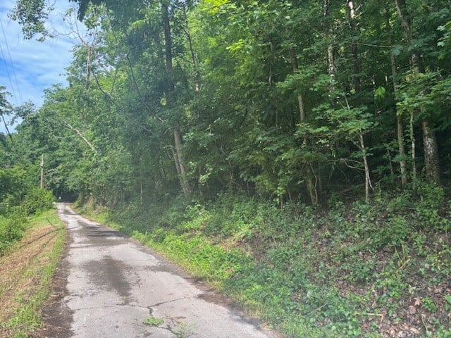 Seymour Hollow Rd, Whites Creek, TN 37189