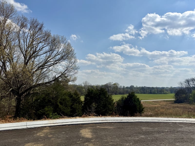 6235 Creole Ln, Arrington, TN 37014