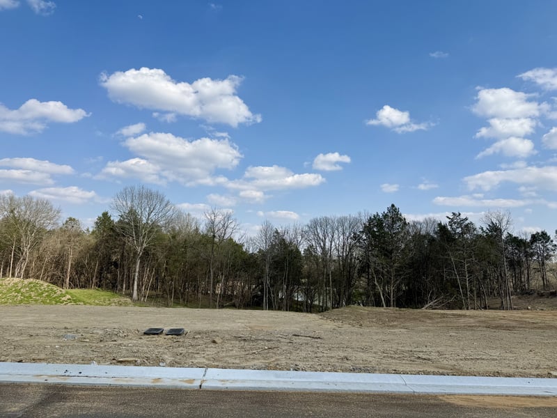 510 St Charles Dr, Arrington, TN 37014