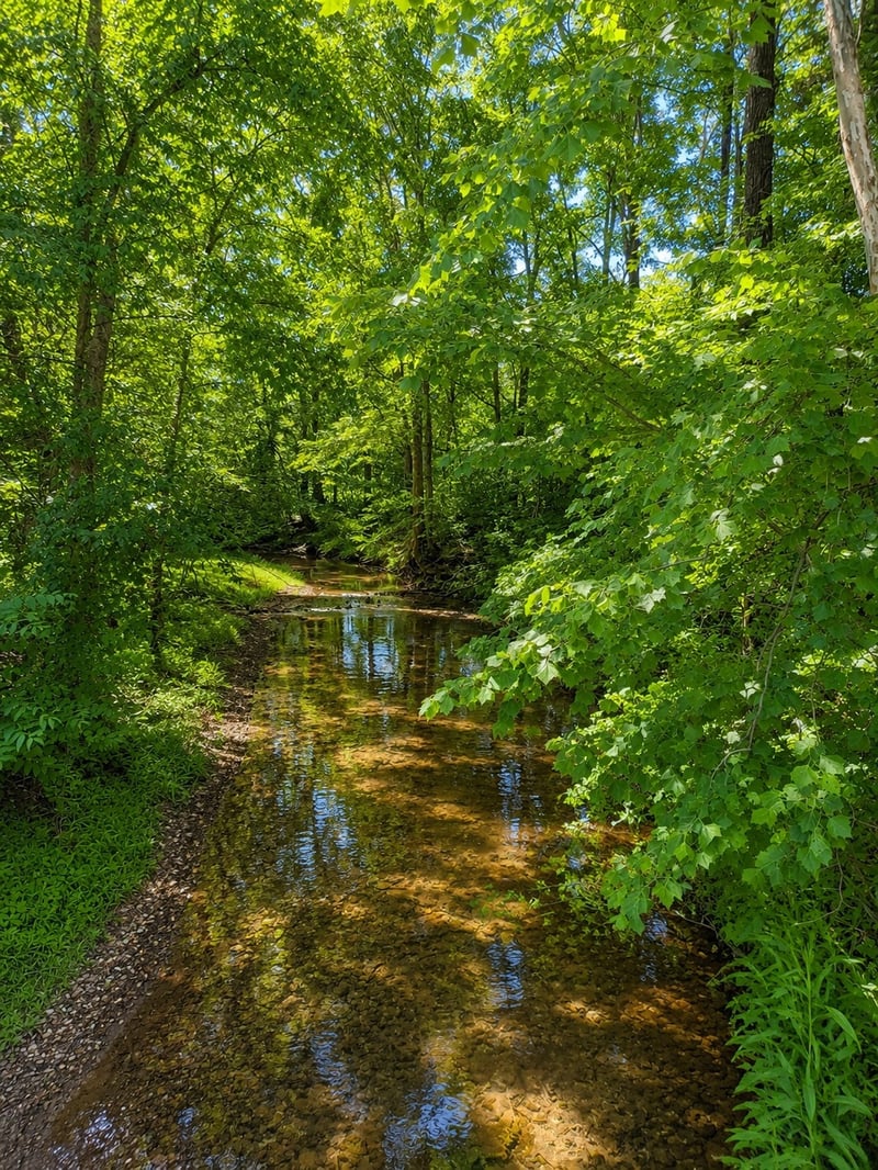 725 Calvert Ridge Rd, Westmoreland, TN 37186