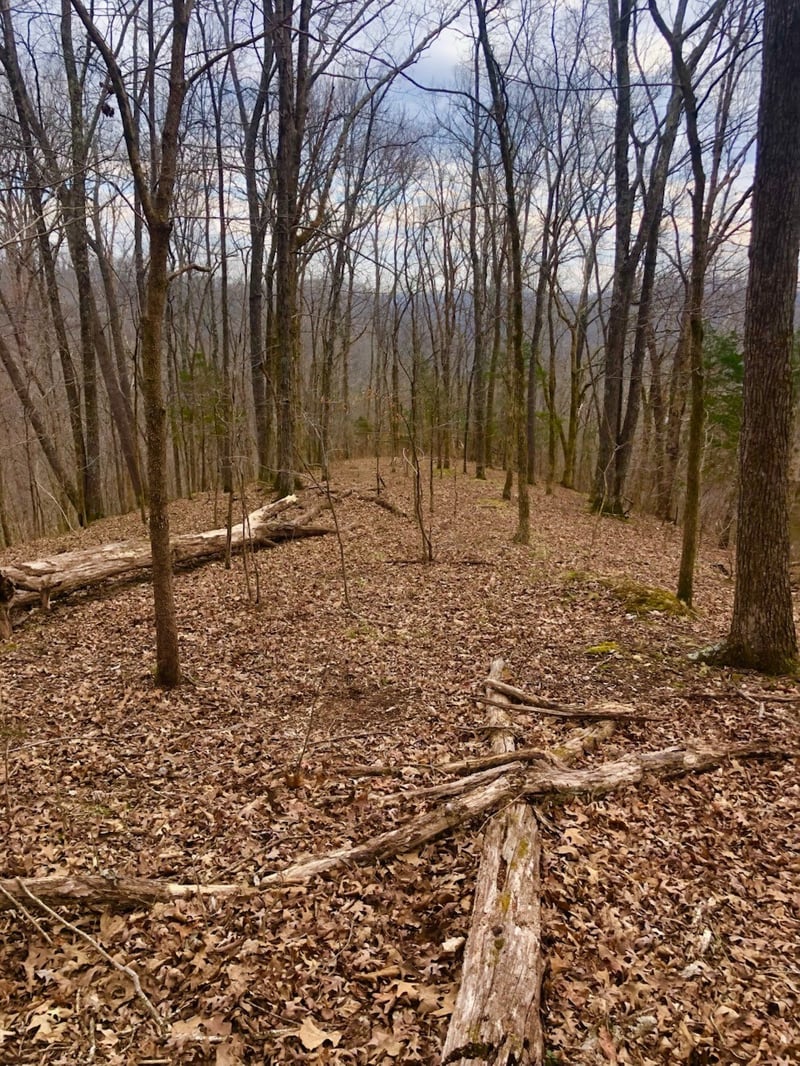 Simpkins Rd, Whites Creek, TN 37189