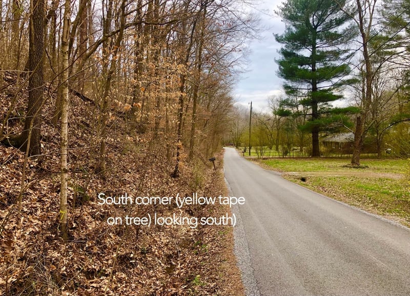 Simpkins Rd, Whites Creek, TN 37189