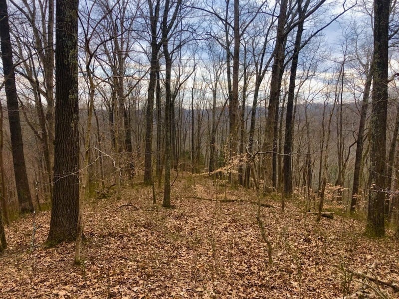 Simpkins Rd, Whites Creek, TN 37189