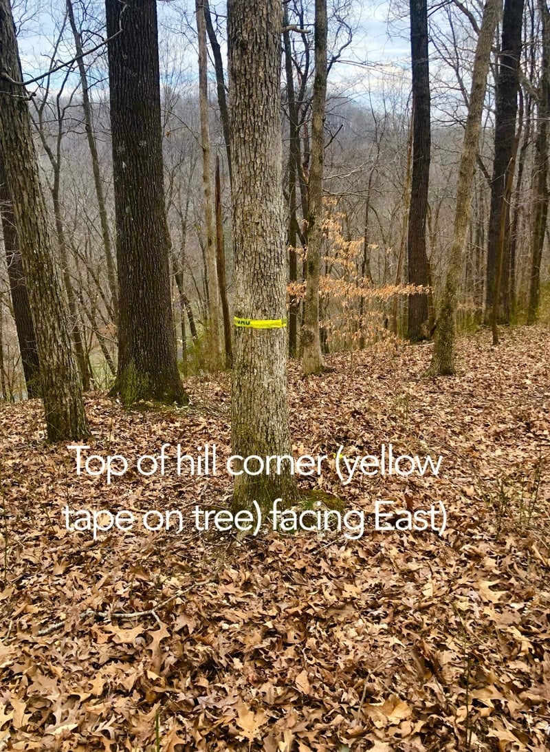 Simpkins Rd, Whites Creek, TN 37189