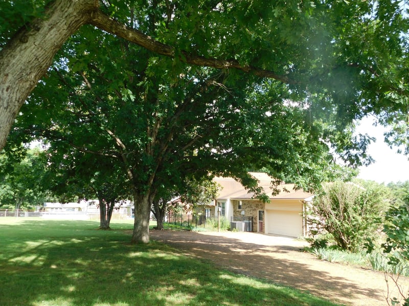 319 Harsh Ln, Castalian Springs, TN 37031