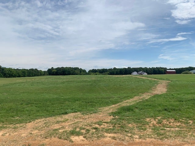 5560 Borthick Rd, Springfield, TN 37172