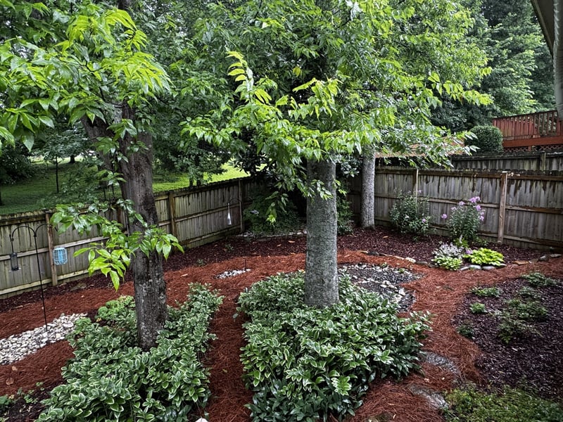 113 Brian Cir, Antioch, TN 37013