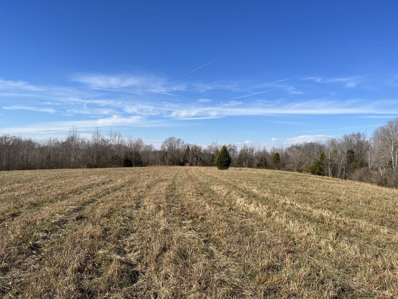 Frey St, Ashland City, TN 37015