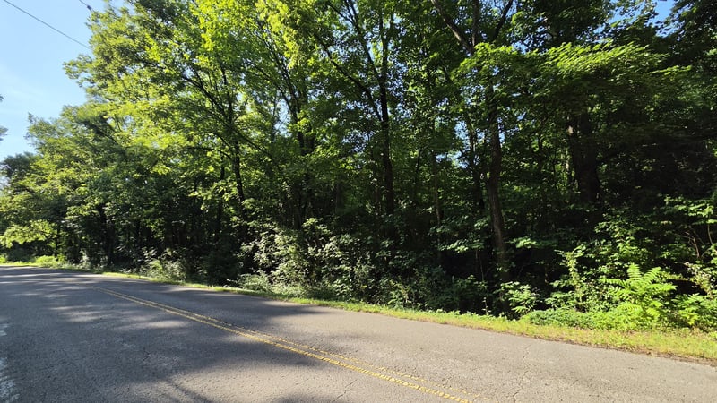 Sulphur Creek Rd, Nashville, TN 37218