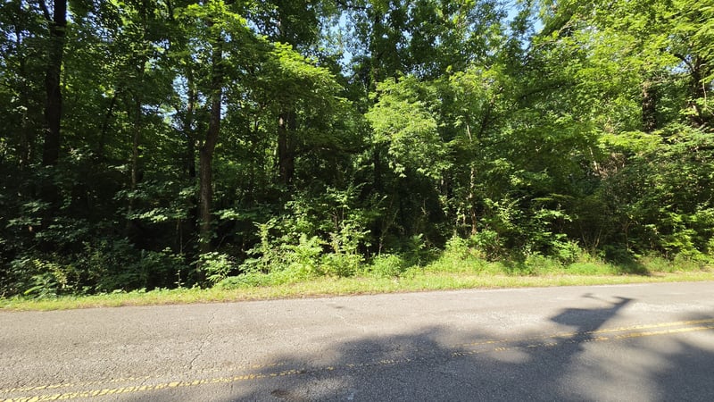 Sulphur Creek Rd, Nashville, TN 37218