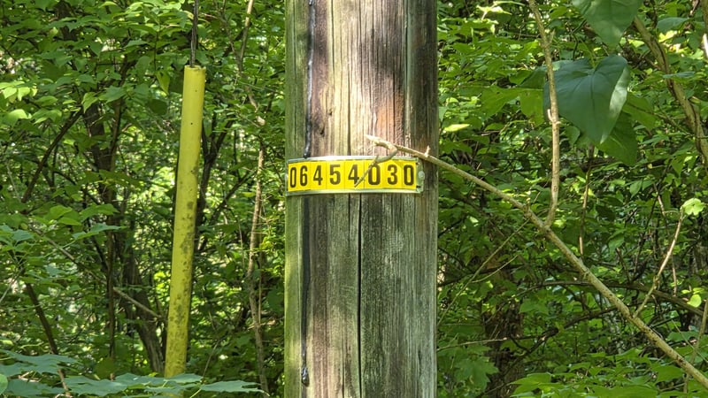 Sulphur Creek Rd, Nashville, TN 37218
