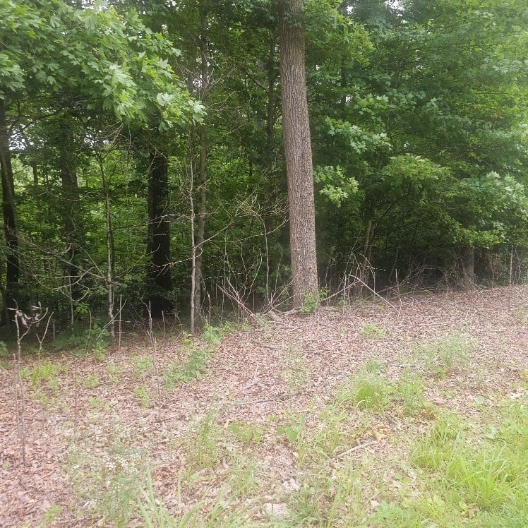 Scenic Dr Lot 44, Dickson, TN 37055