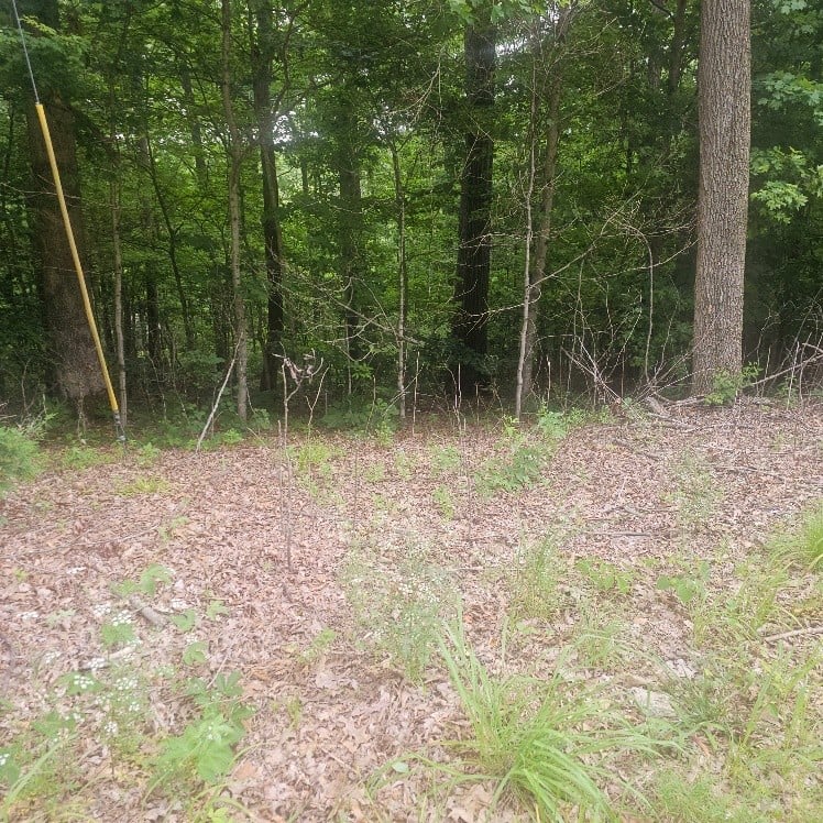Scenic Dr Lot 44, Dickson, TN 37055