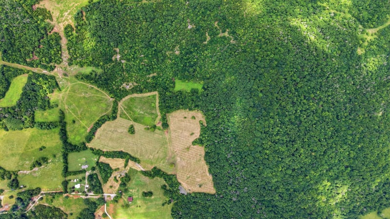 Pete Alsup Rd, Lascassas, TN 37085