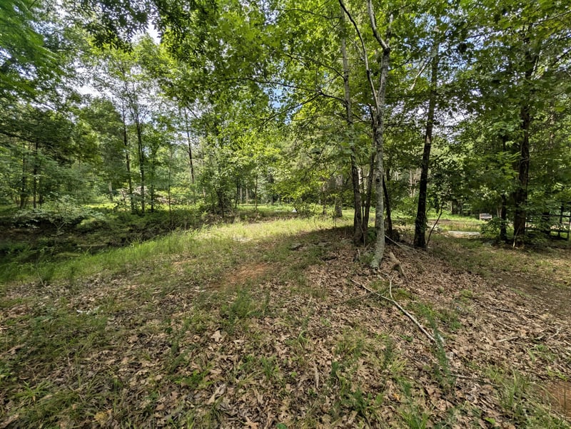297 Rock Springs Midland Rd, Christiana, TN 37037