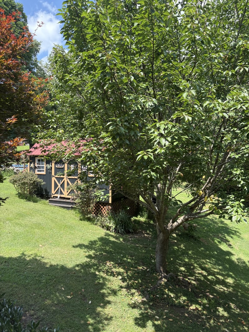 7604 Aubrey Ridge Ct, Fairview, TN 37062