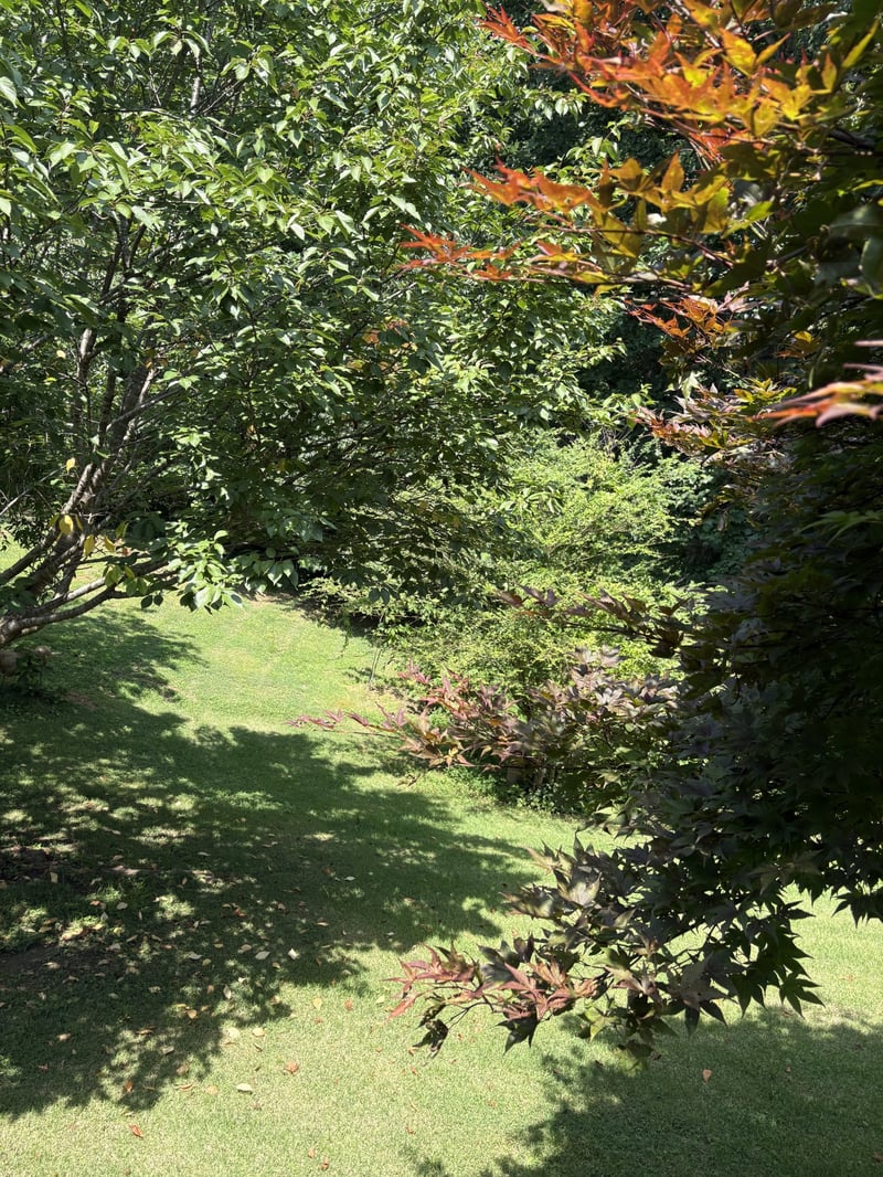 7604 Aubrey Ridge Ct, Fairview, TN 37062