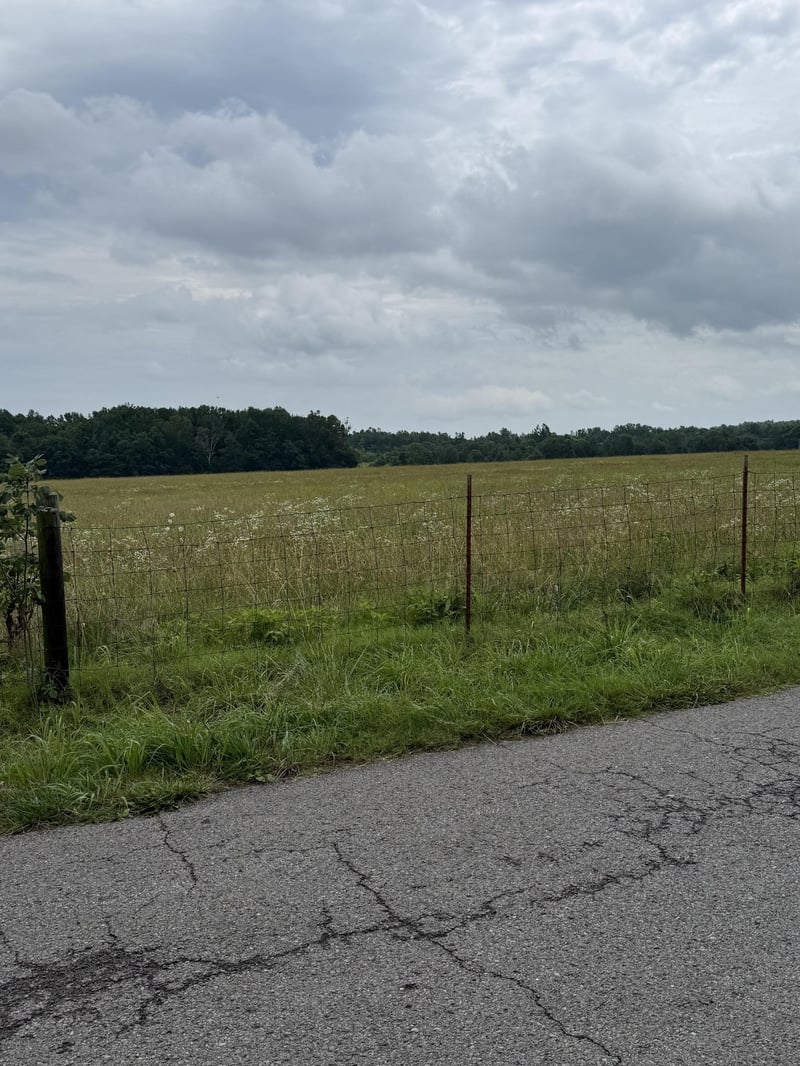 301 Bob Perry Rd, Bethpage, TN 37022