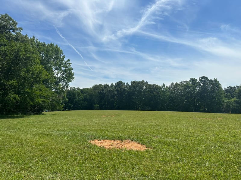 1 Somerville Rd, Cross Plains, TN 37049