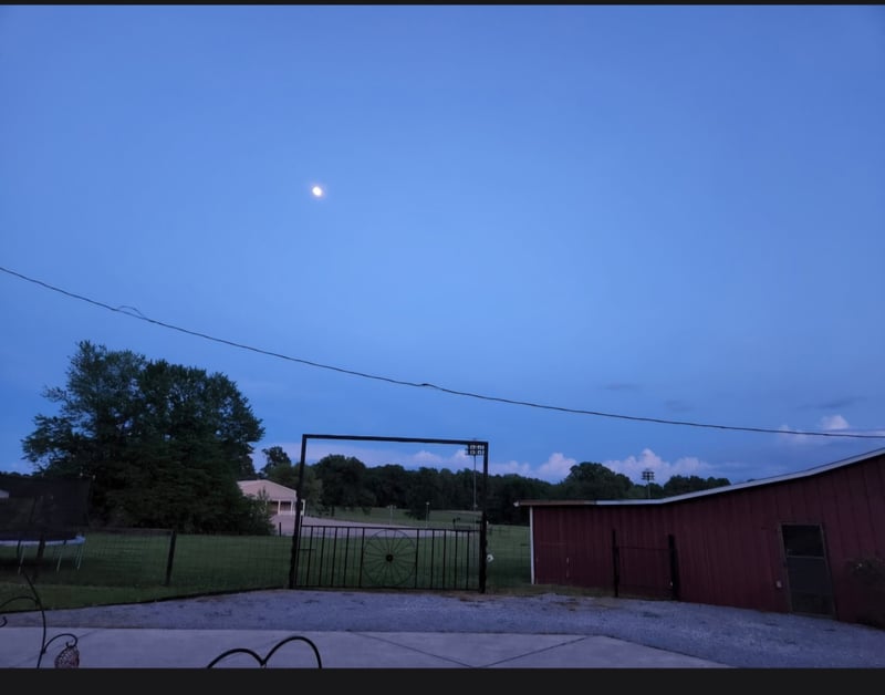 307 S Leath Rd, Portland, TN 37148