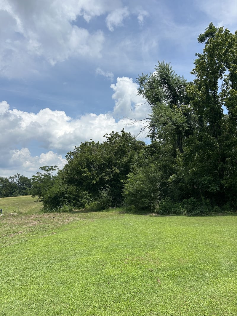 Pleasant Grove Rd Lot 4, Westmoreland, TN 37186
